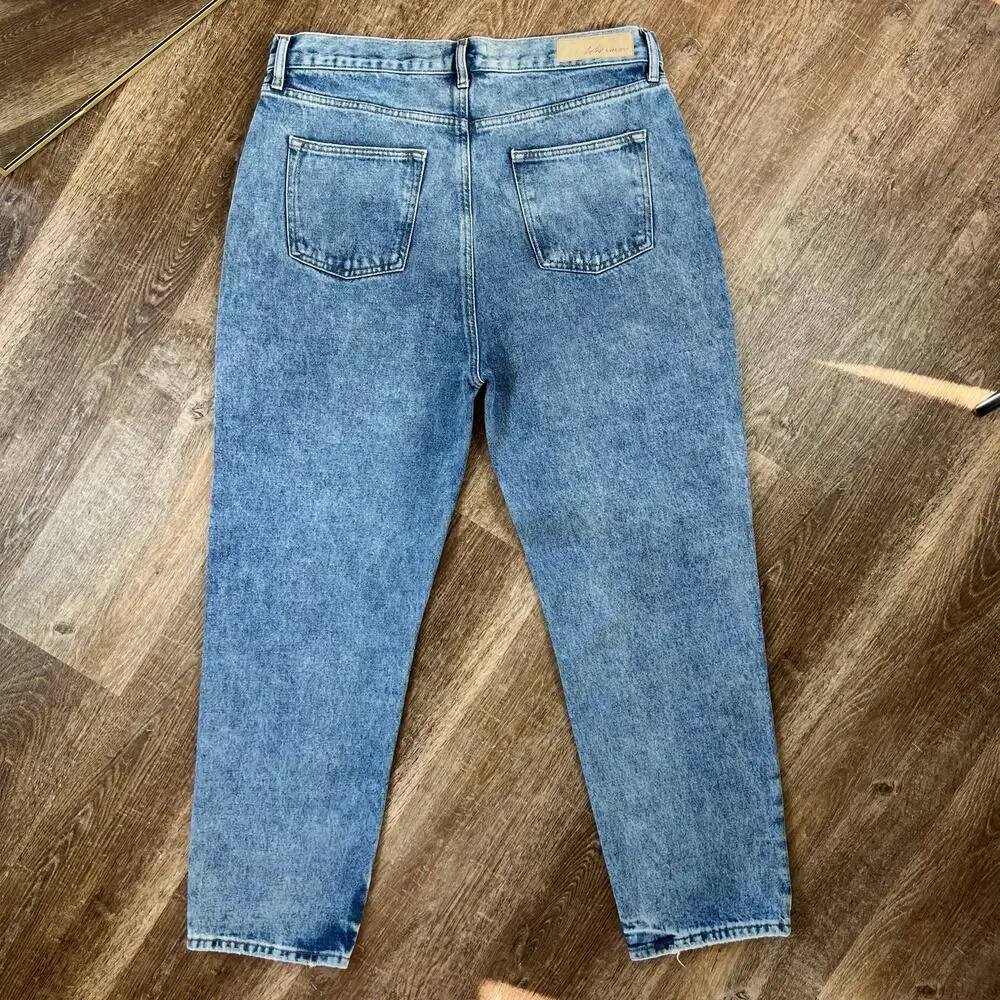 BETRO SIMONE JEANS DISTRESSED DENIM BUTTON FLY RELAXED MID RISE SIZE 32